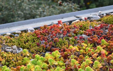 the cost of Colne Edge green roof installation